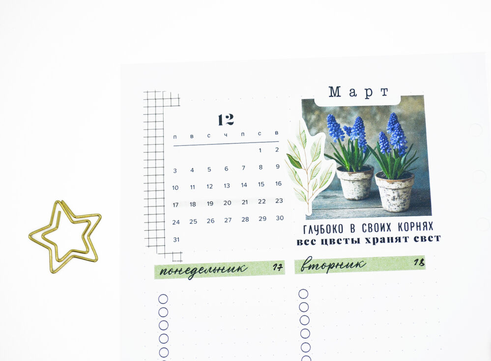 March - Image 7