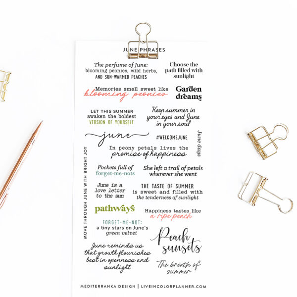 planner and bullet journal stickers june phrases
